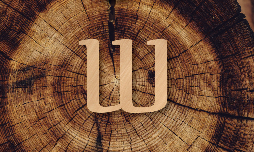 Celebrating five years (knock on wood)